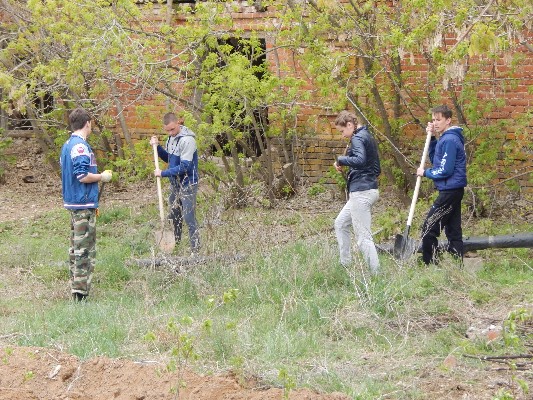 �����������